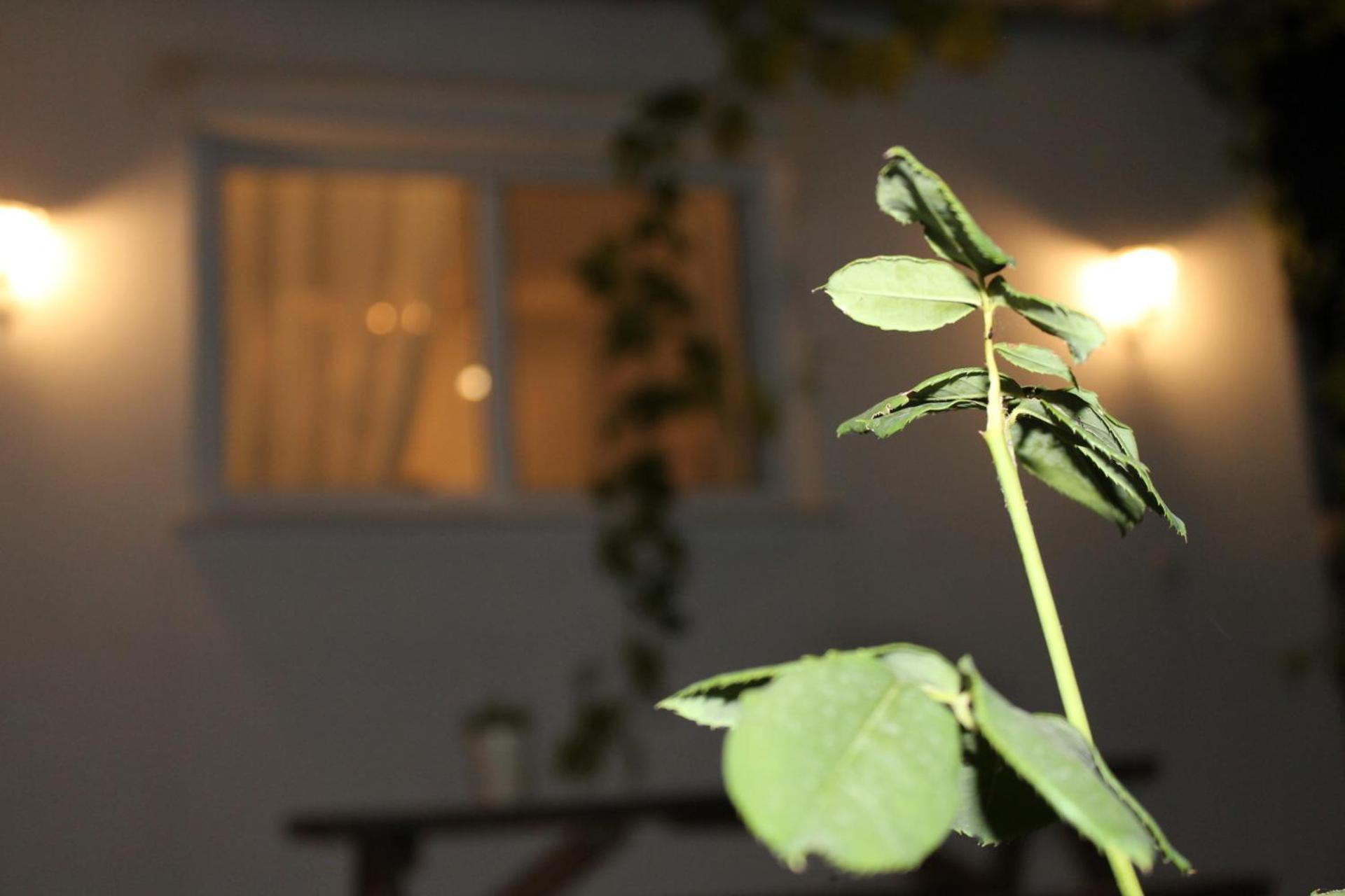 Ηώς Apartment Thassos エクステリア 写真